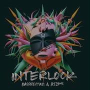 Bassnectar Interlock