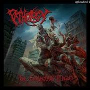 Pathology The Everlasting Plague 2021 Full Album