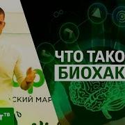 Что Такое Натуральный Биохакинг Элементы Здоровой Активной Долгой Жизни Биохакер Никита Метелица