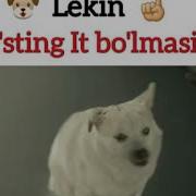 Dosting It Bolsinu Lekin Dosting It Bolmasin