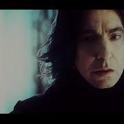 Severus Snape The Sound Of Sience