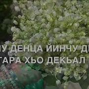 Макка Межиева Декъала Йойла Хьо