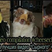 Подборка Лучших Видео Сыр На Лицо Cheesechallenge Best Tik Tok