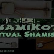 Virtual Shamisen Samisen Vst Vst3 Audio Unit Preset From Shamikoto