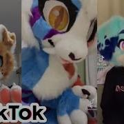 Furry Tik Tok 1