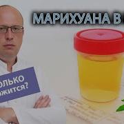 Частота Марихуаны