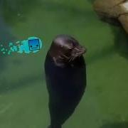 There Is A Level No Need To Be Upset
