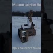 Скачать Приманку Голос Лося Во Время Гона