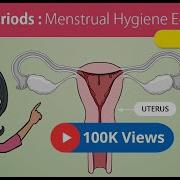 Menstrupedia Comic The Friendly Guide To Periods For Girls