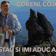 Cornel Cojocaru Stau Si Imi Aduc Aminte Oficial Audio 2019 Colaj Hore