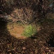 Сталкер Ogse Mod 0 6 9 3 Все Места Бомбы В Деревне Новичков