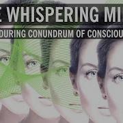 Consciousness Whispering