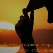 Из Фильма От Заката До Рассвета