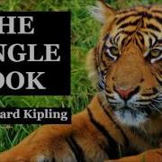 The Jungle Book By Rudyard Kipling Full Audiobook