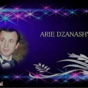 Arie Janashvili Dzanashvili