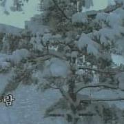 뿌리가 되자