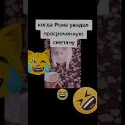 Коту Не Нравится Сметана