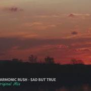 Harmonic Rush Sad But True Mix Cut