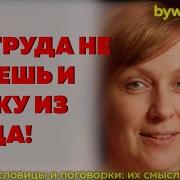 Без Труда Не Выловить Рыбку Из Пруда