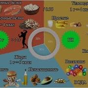 Белки Жиры Углеводы Суточная Норма Соотношение Белков Жиров И