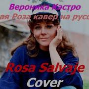 Вероника Кастро Песня Дикая Роза