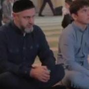 Дарги Ватсап