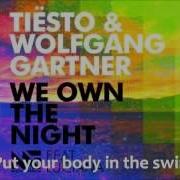 Wolfgang Gartner Tiësto Ft Luciana We Own The Night