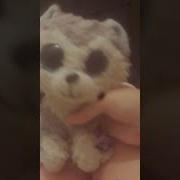 Здраствути Я Какаю В Туалете