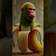 Gorila Bananina