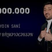 Aydin Sani Unuda Bilmeyeceksen