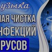 Мощная Чистка От Вирусов И Инфекций Укрепление Иммунитета