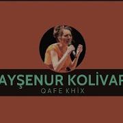 Ayşenur Kolivar Qafe Khix