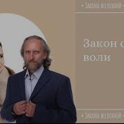 Закон Свободы Воли