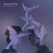 Animal Pop Last Stop