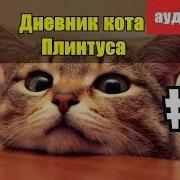 Записки Кота Плинтуса