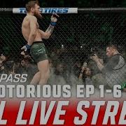 Conor Mcgregor The Notorious