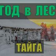 10 Лет В Тайге Часть5