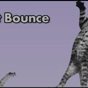 Cat Bounce