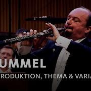 Introduction Theme And Variations For Oboe And Orchestra Op 102 Tempo