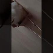 На Какой Машине От Любых Бандитников Можно Уехать