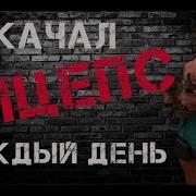 Что Будет Если Качать Бицепс Каждый День