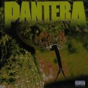 Pantera Instrumental