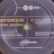 Vinyl Sonorous Glass Garden Ronski Speed Remix