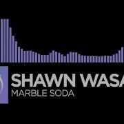 Future Bass Shawn Wasabi Marble Soda