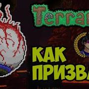 Terraria Как Призвать Глаз Ктулху Eye Of Cthulhu