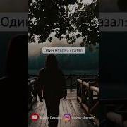 Один Мудрец Сказал Самое Лучшее Лекарство Для Человека