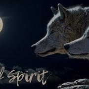 Wolf Spirit Шаманская Целебная Музыка 432 Гц Шаманские Музыкальные Барабаны