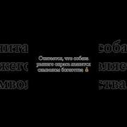 Считается Что Собака Рыжего Окраса