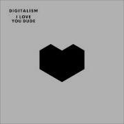 Digitalism I Love You Dude