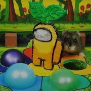 Among Us Hamster Maze Secret Rooms In Among Us And More